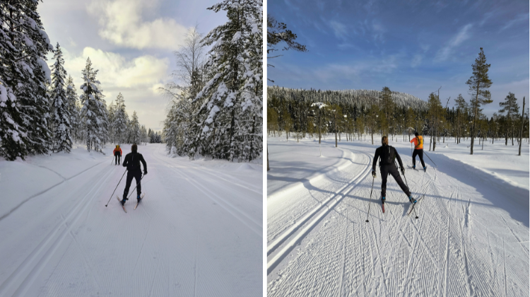 Langlaufsafari Zweden