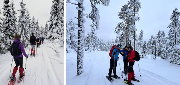 Langlaufsafari Zweden