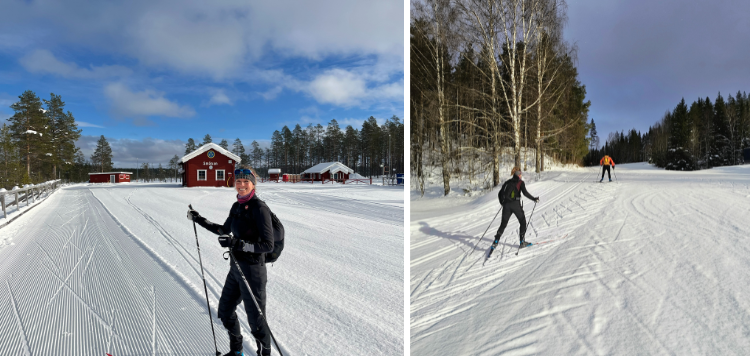 Carrousel LL safari Zweden