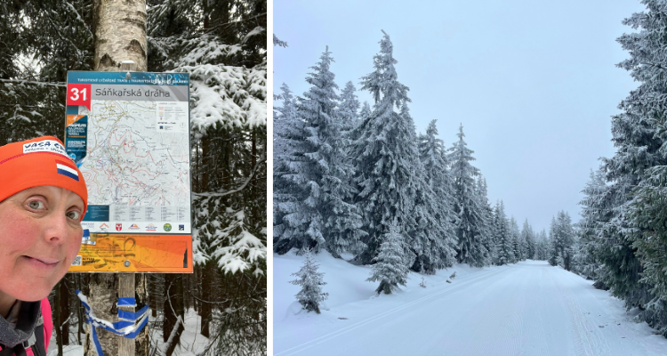 Verkenning BC Krkonose Reuzengebergte - Saar Langelaan | Vasa Sport