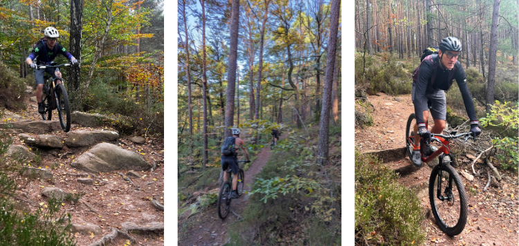 Pfalzerwald trails