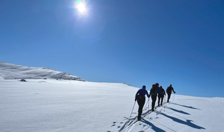 Backcountry Trekking Zweden