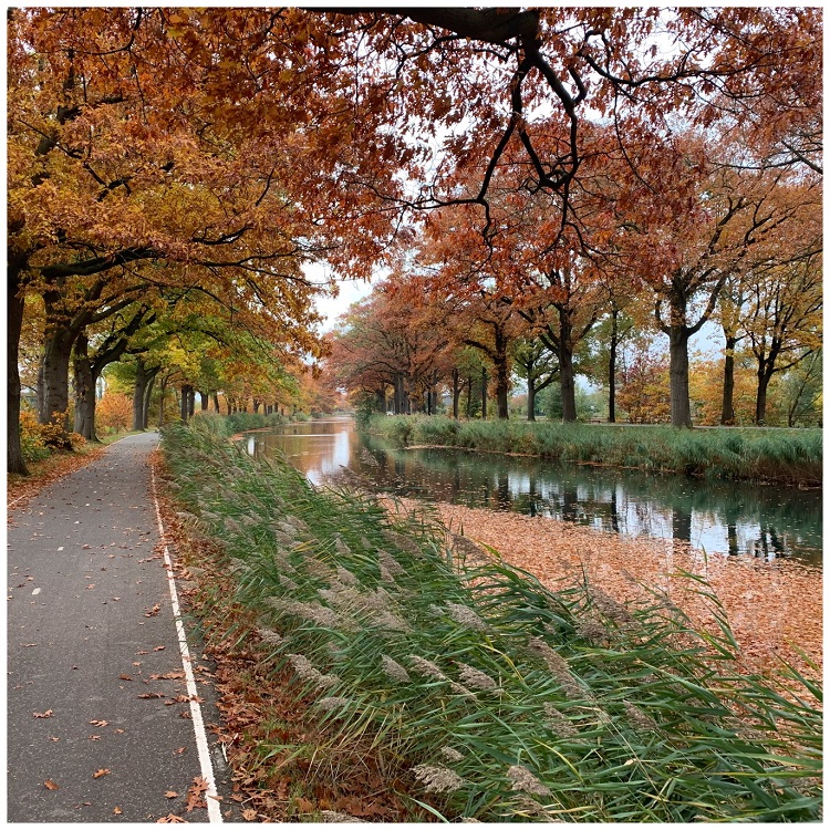 Hemma Kromme Rijn Loppet