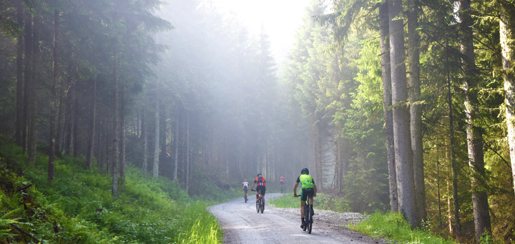 Hochkönig Runde MTB reis 2020