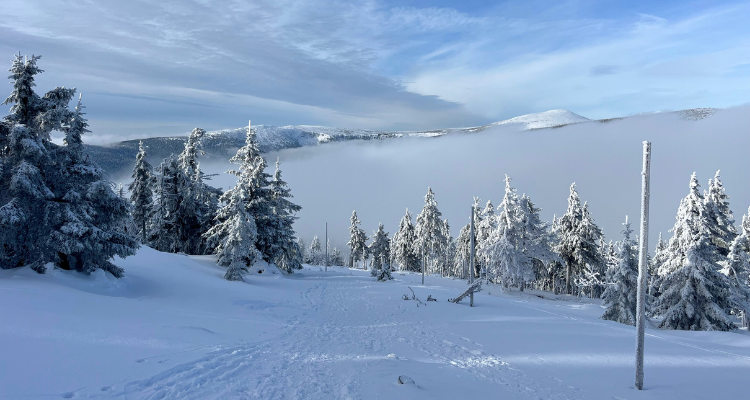 Verkenning BC Krkonose Reuzengebergte - Saar Langelaan | Vasa Sport