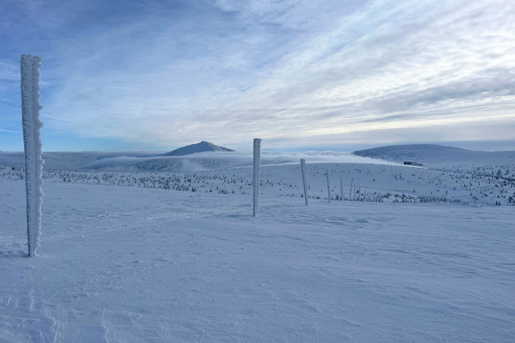 Verkenning BC reuzengebergte