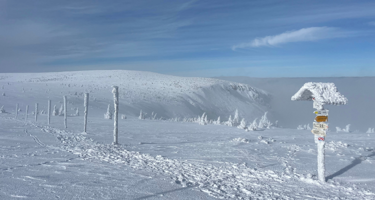 Verkenning BC Krkonose Reuzengebergte - Saar Langelaan | Vasa Sport