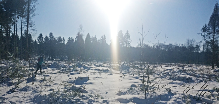 Sneeuw en IJs in Nederland