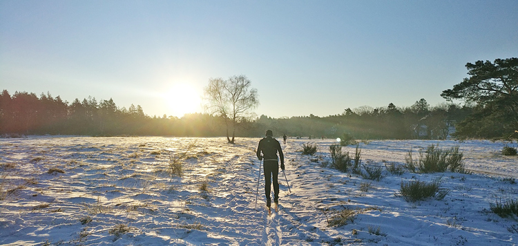 Sneeuw en IJs in Nederland