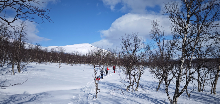 Langlaufers in een besneeuwd bos