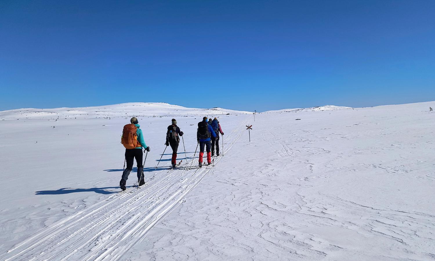 Vijf langlaufers op een open sneeuwvlakte in Zweden