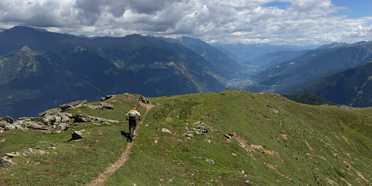 Vasa gids Bas op een hoge trail
