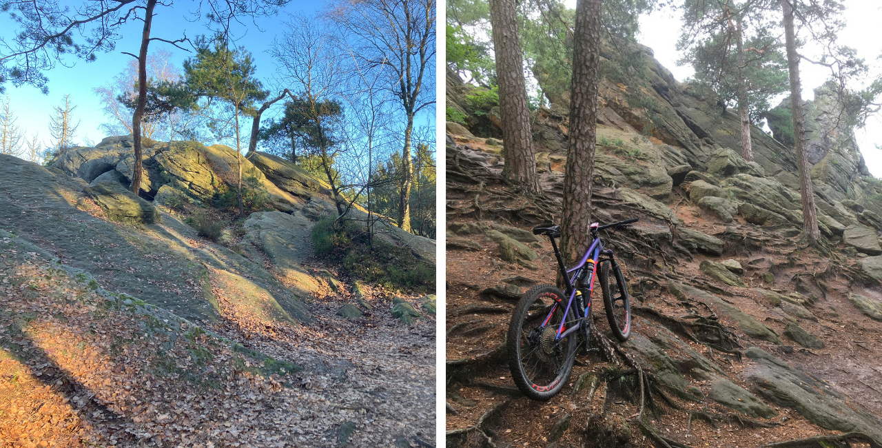 Rob v Campen verkenning