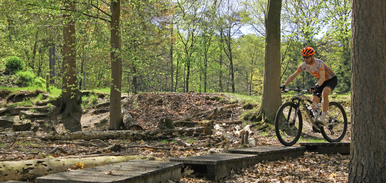 Vasa Sport bikegidsendag
