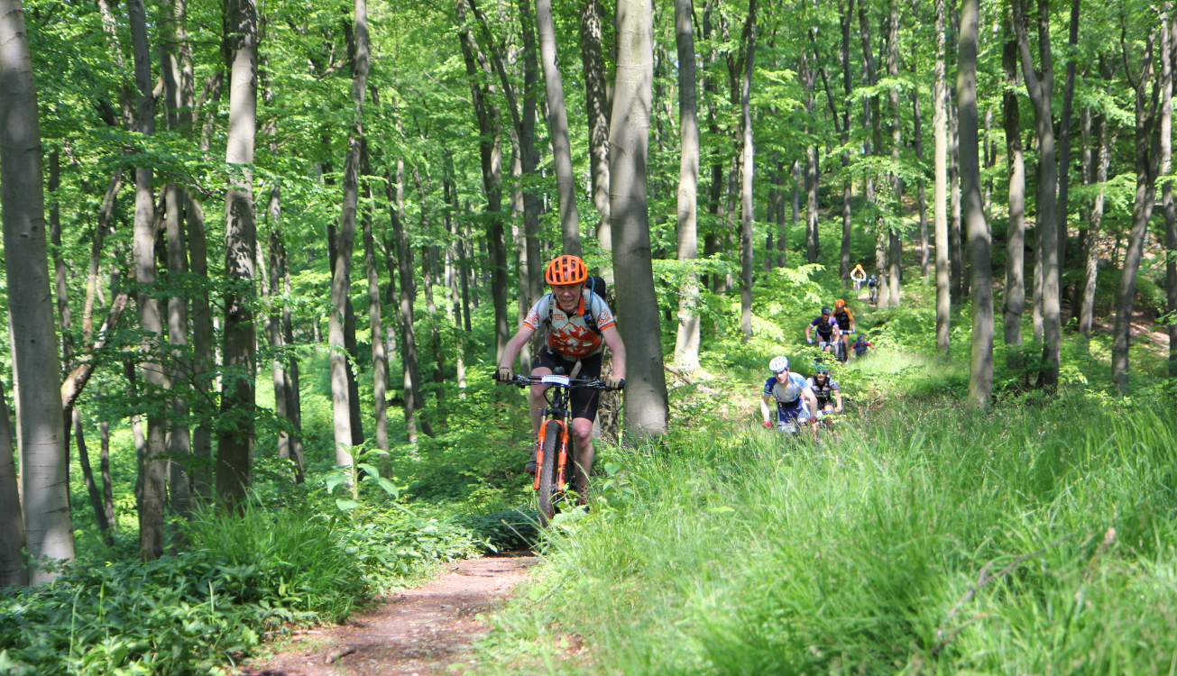 Een groep fietsers op de Tecklenburg trails