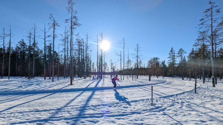Langlaufweek in Zweden