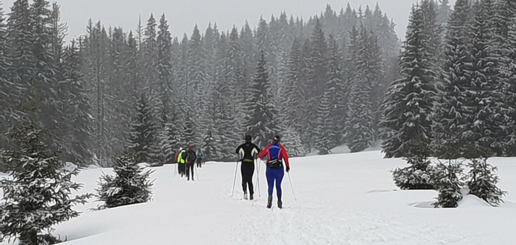 Langlaufen-sumava-trek-tocht-vakantie-reis-tsjechie