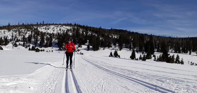 Langlaufen-sumava-trek-tocht-vakantie-reis-tsjechie