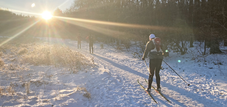 Sneeuw en IJs in Nederland