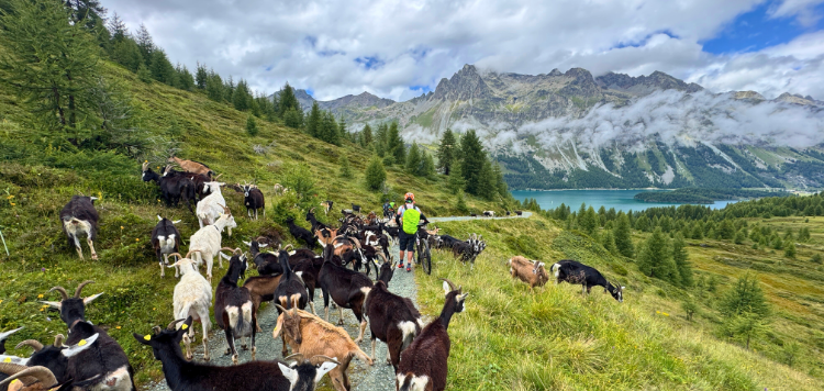 St moritz