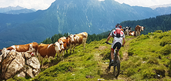 Alpentour Amadé + Panorama