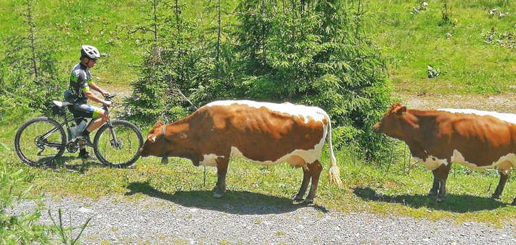 Tauern TransAlp