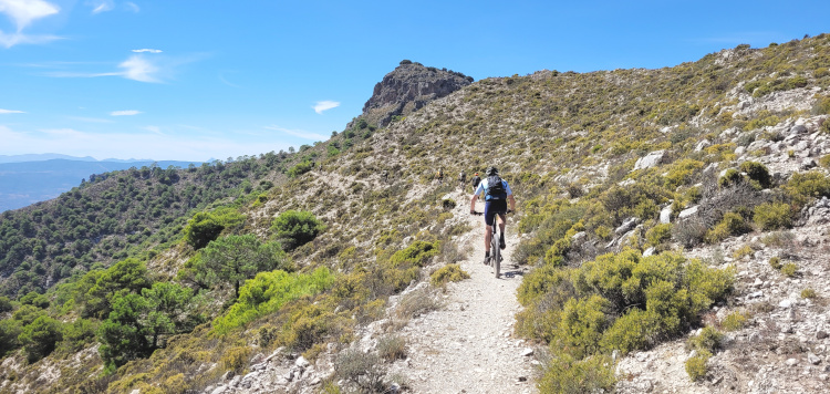 Vuelta Sierra Nevada 2021