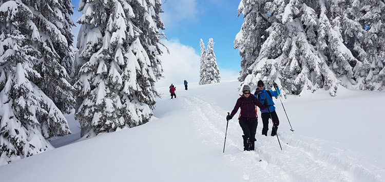 Backcountry toerlanglaufen cursus les duitsland reis weekend schwarzwald