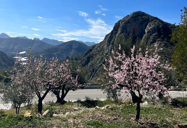 Voorjaar zon op de racefietsreis Calpe Vasa Sport