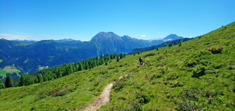 Alpentour Amadé GPS