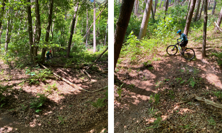 MTB techniektraining Limburg Vasa Sport
