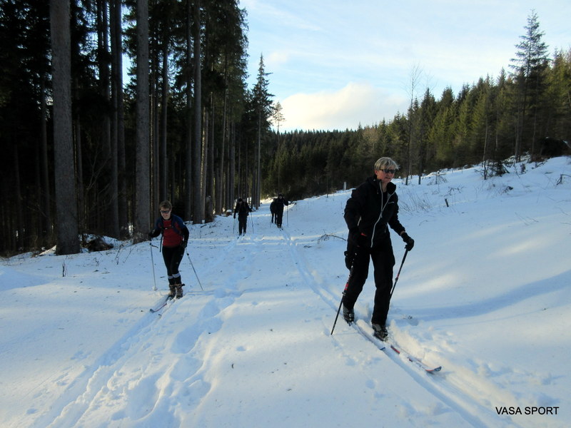 Ski Vasa Sport