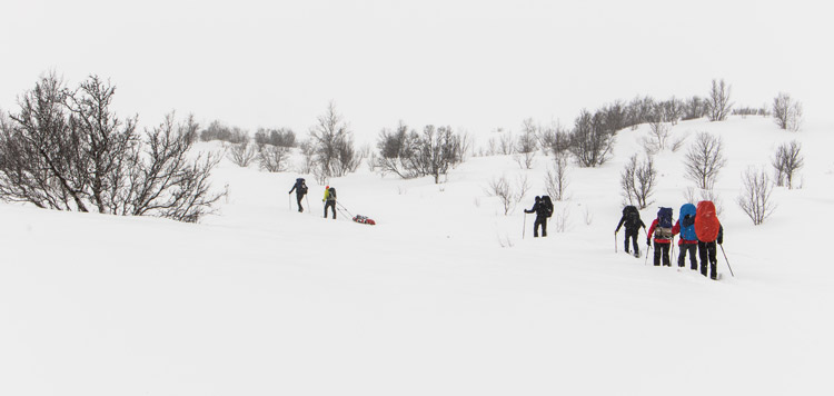 backcountry toerlanglaufen dovrefjell