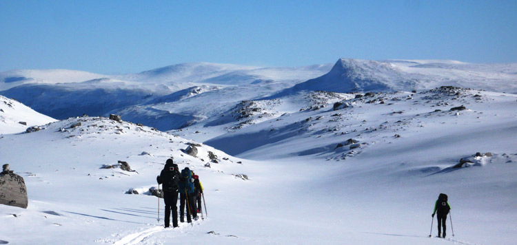 backcountry toerlanglaufen dovrefjell