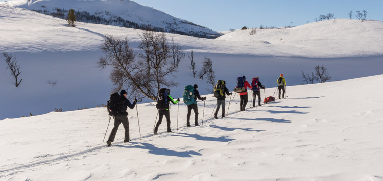 backcountry toerlanglaufen dovrefjell