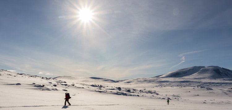 backcountry toerlanglaufen dovrefjell