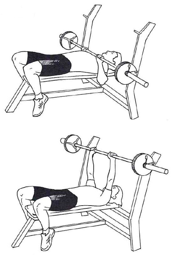 krachttraining fietsers chest press