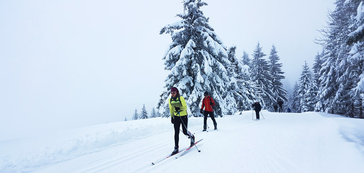 langlauf cursus schwarzwald