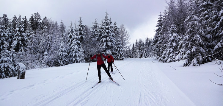 langlauf cursus schwarzwald