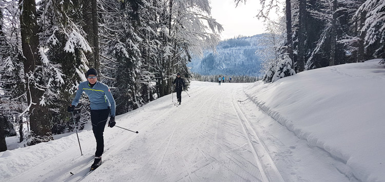 langlauf cursus schwarzwald