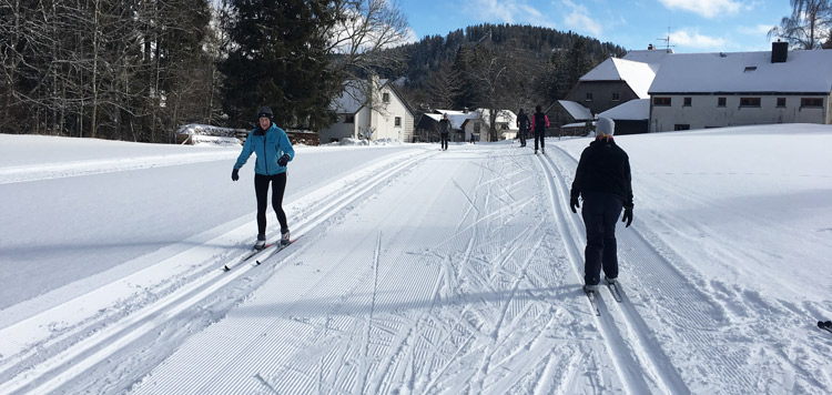 langlaufen schwarzwald weekend reis cursus les