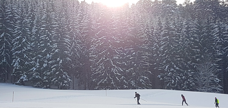 langlaufen schwarzwald weekend reis cursus les