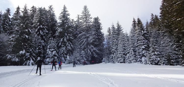 langlaufen schwarzwald weekend reis cursus les