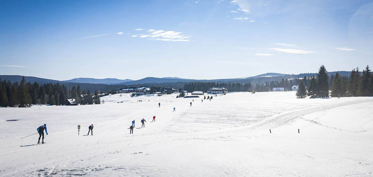 sumavsky-ski-marathon