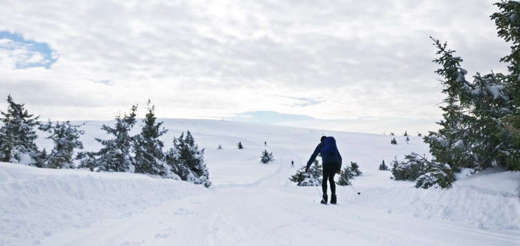 langlaufen birkebeiner reis voorbereiden trainen