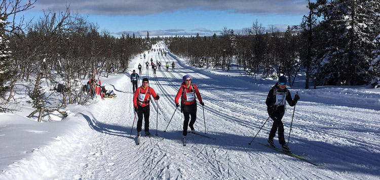 langlauf reis vakantie birkebeiner voorbereiden trainen