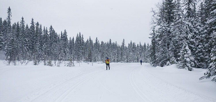 langlaufen birkebeiner reis voorbereiden trainen