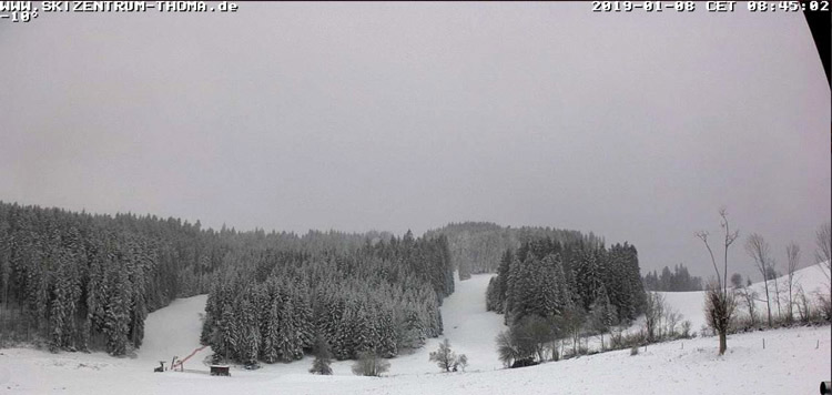 langlaufcursus-schwarzwald-sneeuw