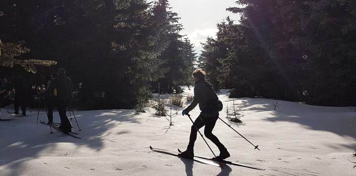 langlaufen backcountry cursus