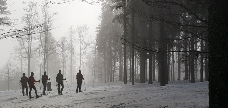 langlaufen backcountry cursus schwarzwald